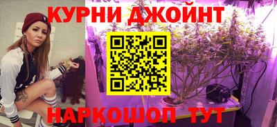 тгк Славгород