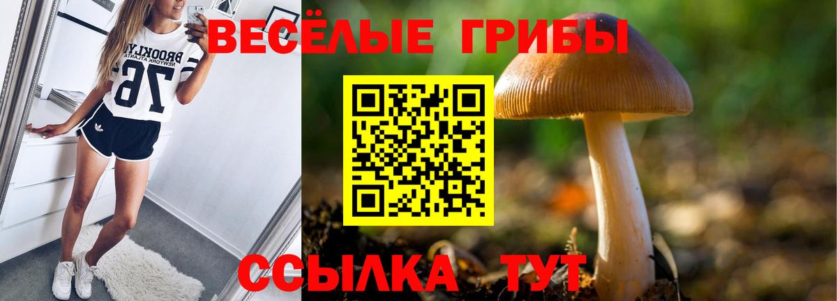 Галлюциногенные грибы Cubensis Печора